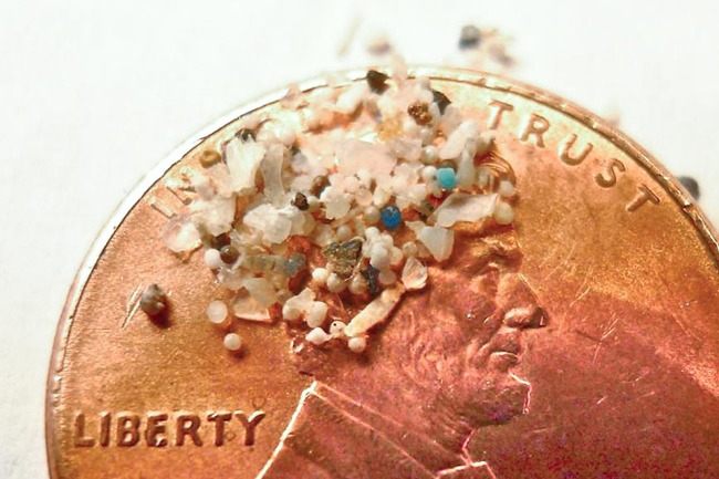 Microplastics Penny