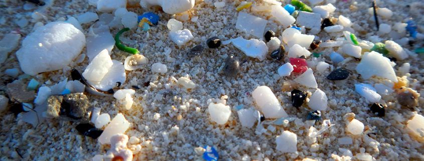 microplastics